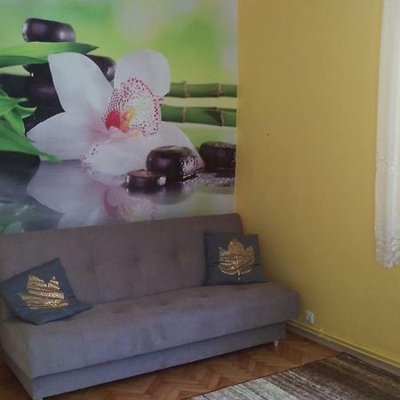 Bogusz Appartamento Kołobrzeg Esterno foto